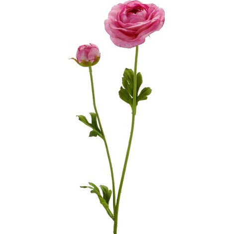 GASPER Ranunkel Pink Bklüte mit Knospe Ø 8,5 cm 63 cm - Kunstblumen (1/2)