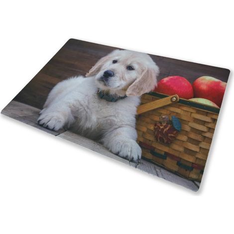 TAPIS PAILLASSON NUMÉRIQUE DE CM.40X60 CHIEN CHIOT LABRADOR (1/2)