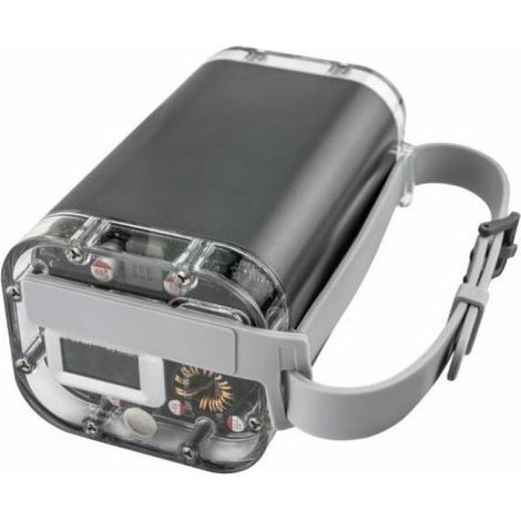 Ansmann PB4100 Polímero de litio 40000 mAh Plata (1/5)