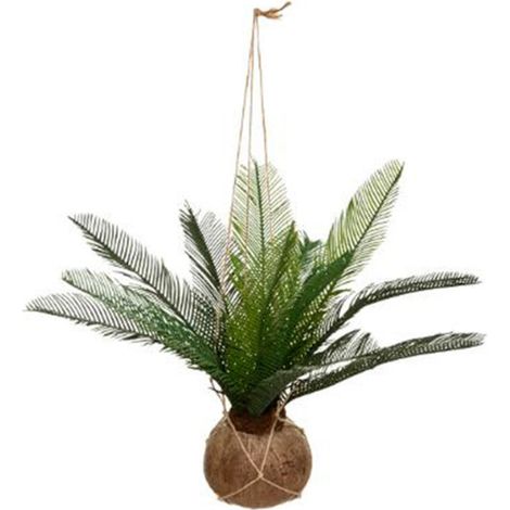 Atmosphera – Plante verte artificielle palmier 'Cuba' 55cm – Design moderne – Pot en coco – Couleur verte – Idéal pour décoration intérieure (1/3)