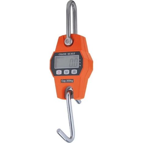 Orange 300kg Hanging Scale for Farm Hunting Archery Weight Big Fish Entry Elevator with Accurate Sensor (Digital, Professional, Lightweight Case) (1/4)