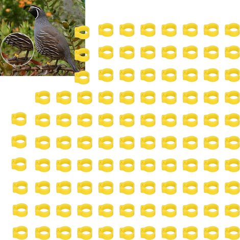 100 anneaux de jambe de 8mm pour pigeons, bagues d'identification avicole sans inscription, fournitures pour volailles jaunes