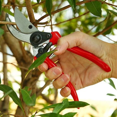 sécateur bypass droitier ergonomique, lame acier trempé 52 mm, poignées aluminium forgé, tête inclinée, amortisseurs, pour grande main, coupe nette jusqu’à 25 mm, outil professionnel (1/4)