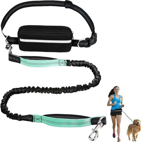 Laisse de Jogging pour Chien avec Coutures Réfléchissantes, Double Poignée 2 en 1, pour Chiens Moyens et Grands, Verte (1/4)