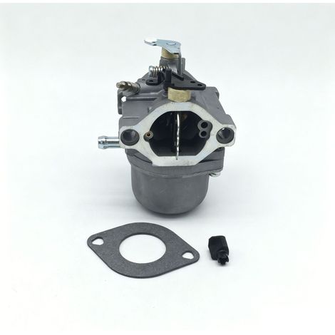 Carburateur pour Briggs&Stratton 799728 498027/498231/499161 – Moteur tondeuse, remplacement fiable, performance stable (1/5)