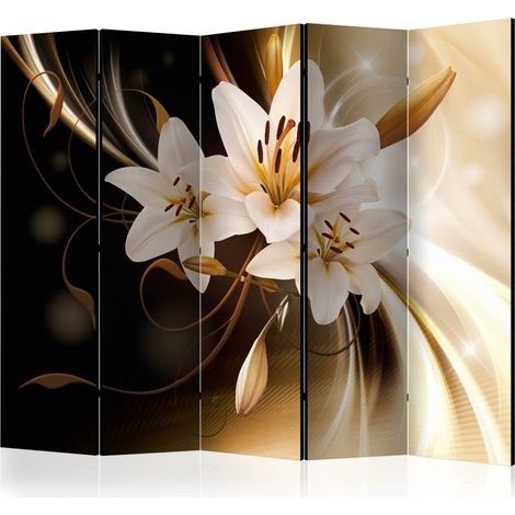 Paravento - Circle of Light II [Room Dividers] - 225x172 (1/4)