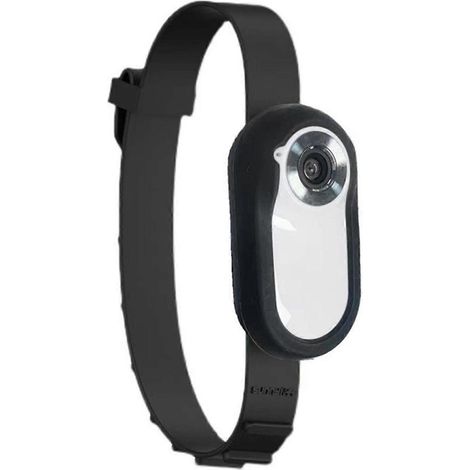 Katzenkamera-Halsband mit 8-GB-Speicherkarte, kabellose kleine Sportkamera mit Videoaufzeichnung in 1080p-Hochauflösung
