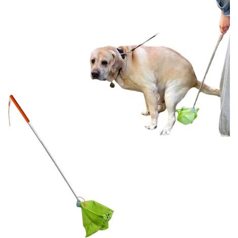 Ramassage extensible pour grands chiens – mains libres et sans se baisser dans les parcs, avec pince à 120° et 45 sacs biodégradables, ABS (1/5)