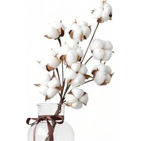 QORVA-10 Fleurs de Coton Sechees Naturelles , Bouquet Fleurs de Coton Séchées, Branches Coton, Fausses Plantes Séchée pour Balcon Maison Table Composition Florale Mariage