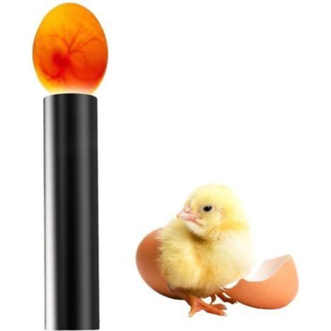Testeur D'Oeufs avec Lumière LED, Testeur d'œufs à LED, Mini Incubateur Éclairage, Lumière De Mirage Pour œufs,Lampe Bougie Mené Mire Vérifier Rechargeable Identifier Infertiles Surveiller (1/5)