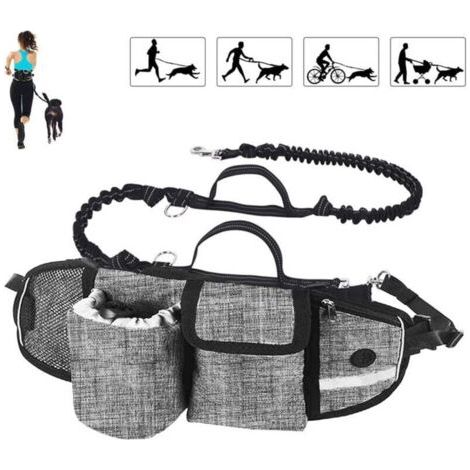 Laisse pour chien Mains libres Laisse pour chien Absorption des chocs Confort Coutures réfléchissantes Idéal pour la course à pied Jogging et la marche Gris cassé