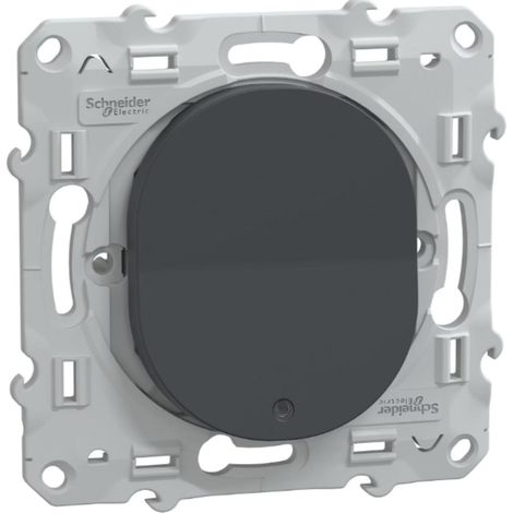 Interrupteur va-et-vient lumineux 10AX anthracite - Ovalis - Schneider (1/5)