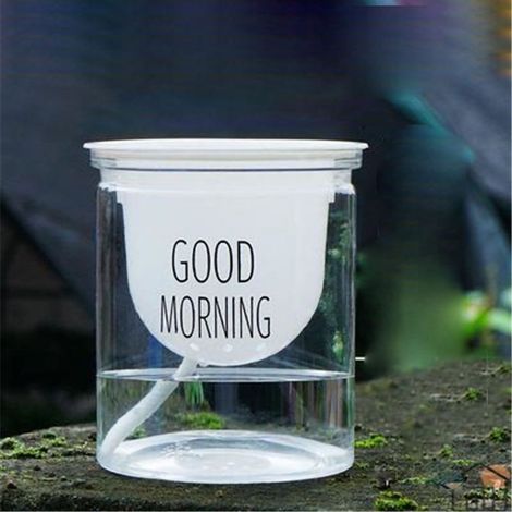Pot de fleurs auto-arrosant transparent en plastique - Pot hydroponique semi-automatique avec système d'absorption d'eau par mèche - Design à fond rond pour intérieur maison/bureau (300g)