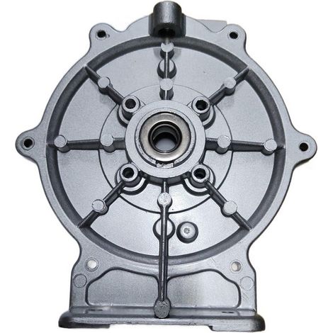 Tapa Trasera Bomba compatible con Qgz25  Ref 976854