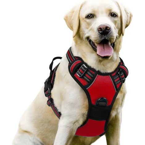 harnais chien – Harnais pour chien moyen à grand – Réglable et réfléchissant – Attache avant pour anti traction – Taille L, tour de cou 46-66 cm, tour de poitrine 38-89 cm-rouge