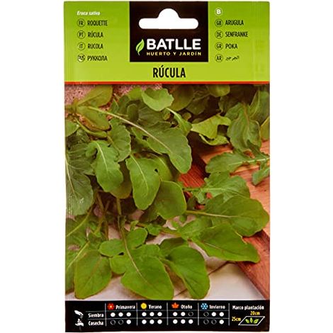 Battle - Semi Aromatici Insalata Rucola (Semi - 10-15Cm) (1/3)