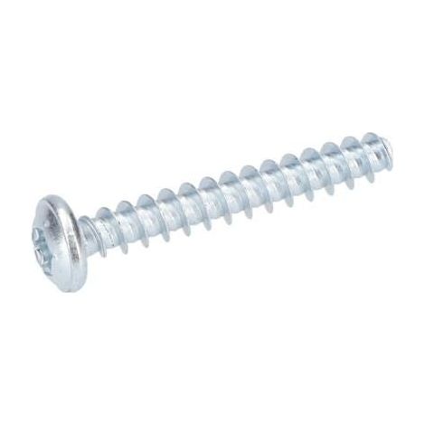 Vis a tete bombee torx pour Marteau a percussion BOSCH OUTILLAGES - 1613490009