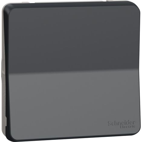 Schneider Electric – Permutateur Mureva Styl IP55 IK08 connexion auto – Résistant aux agents chimiques – Pour intérieur/extérieur – MUR35020 (1/4)