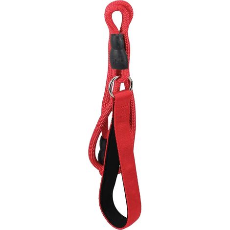Laisse chien polyester 120 cm - robuste et pratique (1/5)