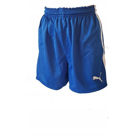G1817 PUMA V5.06 HANDBALLSHORTS DAMEN (1/5)