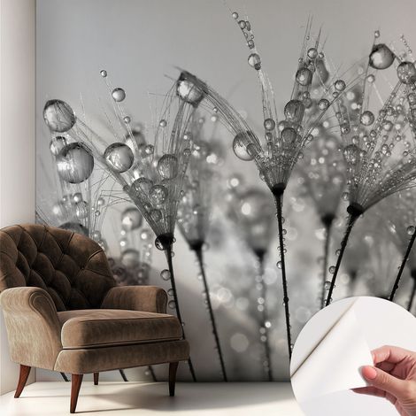 Fotomurale adesivo stickers - murali decorativo - soggiorno moderno - effetto realistico - Delicatezza bagnata 250x250 cm (1/5)