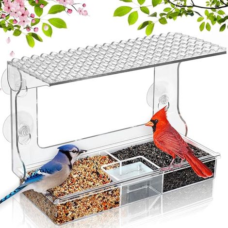 Transparent cover with adjustable height 24 x 16.5 cm (1/5)
