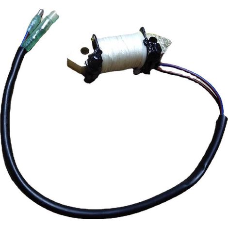 Bobine d'allumage et de charge pour moteur hors-bord Tohatsu 4 temps  8HP/9.8HP - Compatible avec 3AA-06021-0. (1/4)
