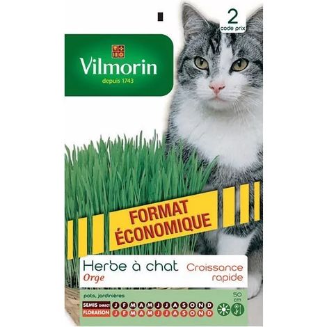 VILMORIN Sachet graines d'herbe a chat Orge