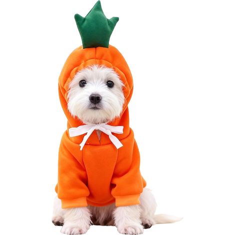 Costume de Noël Chien, Taille XL Vêtements pour Animaux de Compagnie Vetement Chien Petite Taille Sweat à Capuche Fruit Dog, pour Photographier Flâner (1/5)