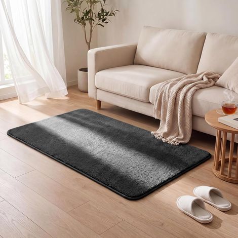 Tapis de Salon Moderne Ultra Doux Tapis à Poils Ras Lavable en Machine avec Un sous-Tapis antidérapant fourni pour Le Salon la Chambre ou la terrasse 80x150cm Anthracite (1/5)