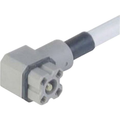 Steckverbinder für Steuerspannung der G-Serie Grau G 4 KW 1 F 2M Pole:4 931 805-602-1 Hirschmann Inh