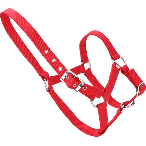 Licol de bride pour cheval en sangle épaisse de 6 mm, couleur rouge, haute densité (1/5)