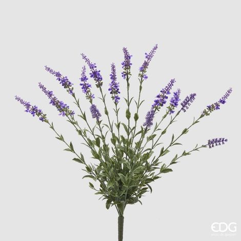 EDG Enzo De Gasperi Cespuglio Salvia H 60 Colore Lavanda