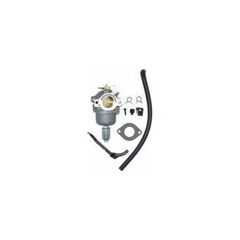 Carburateur pour Moteurs Briggs & Stratton 287707 287776 287777 310707 310777 698620 690194 791886 799727 496796 499153 695412 792768 Remplacement du carburateur (1/4)