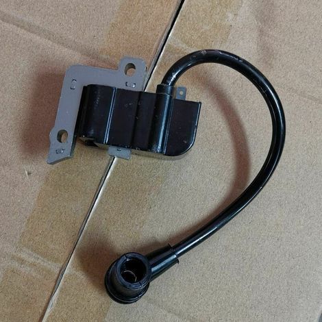 Bobine d'allumage, Pack haute tension, Bobine d'allumage Echo SRM 2100, 2400 GT 2000 PE 2000, 15660152131, 15660152130 (1/4)