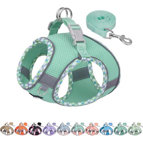 Ensemble Harnais et Laisse pour Chien pour la Promenade, Harnais pour Chiot, Bandes réfléchissantes, pour très Petits Chiens et Chats domestiques Turquoise XXS (1/5)