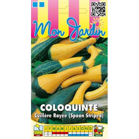 Coloquinte cuillère rayée - 3g