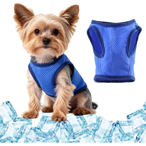 Gilet rafraîchissant bleu pour chien, respirant et léger, adapté aux petits chiens, idéal pour les promenades estivales, les voyages et l'entraînement en extérieur. Taille S.