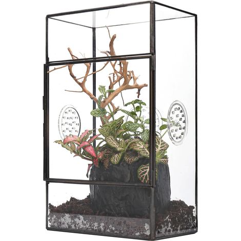 Terrarium géométrique Noir rectangulaire en Verre avec Porte latérale et Trois Trous d'aération Fait à la Main, 13x10x23cm, pour Petits Insectes Décoration de Jardin (Terrarium Uniquement) (1/5)