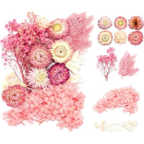 Bouquet de Fleurs Séchées Naturelles, Mini Fleurs Séchées, Fleurs Séchées Vrac, Fleur Séchées Décoration pour Bricolage, Résine Époxy, Bijoux Floraux, Art des Ongles Fait Maison, Bougie (1/5)