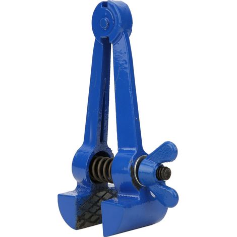 Mini-Handschraubstock, Stahl, blau lackiert, Mehrzweckzange, Kleinwerkzeug, Zubehör (50 mm) (1/5)