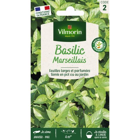 Basilic Marseillais Vilmorin (1/2)