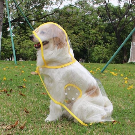 Manteau imperméable pour chien avec capuche en nylon transparent - Pour chiens de petite à moyenne taille (L,jaune) (1/5)