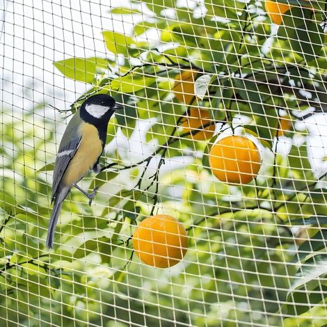 Filet Anti Oiseaux, 6X10m Filet de Jardin, Filet Anti Pigeon, Blanc Filet de Protection, Filet Jardin Potager, Protèger Les Plantes, Les légumes, Les Fruits, Maille Fines de 2 x 2 cm (1/5)