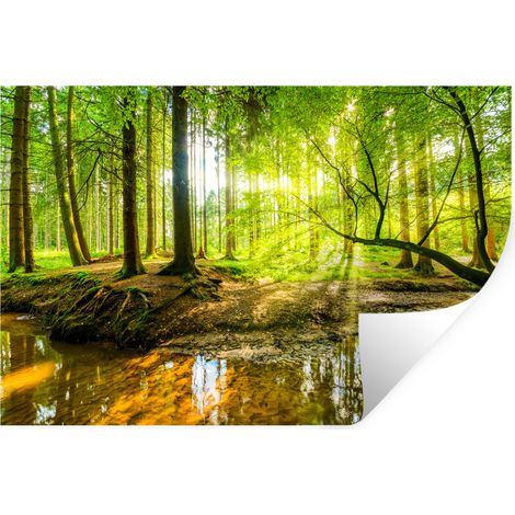 STICKER MURAL Forêt - Paysage - Eau - Arbres - Soleil - Vert - Nature 60x40 cm (1/5)