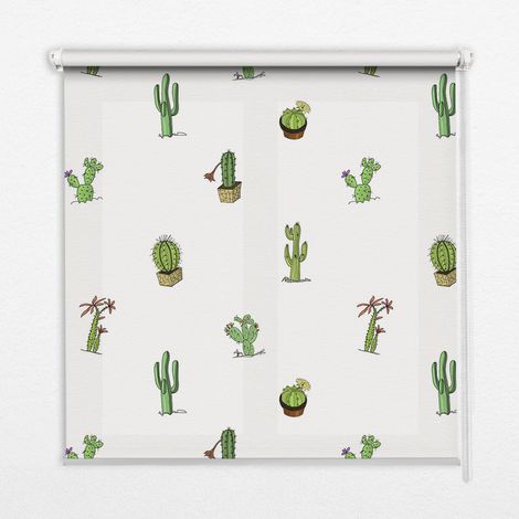 Innenrollo Fensterrollo - Rollo ohne Bohren - Sichtschutzrollo - Lichtdurchlässiges Rollo - Rechteckiges - Rollo - (100 cm x 140 cm) - Kakteen