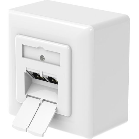 PRISE RÉSEAU, CAT-6A, 10 GBIT/S, BLINDÉE, 2 PORTS, APP. OU ENCASTRÉ HAMA 00200774