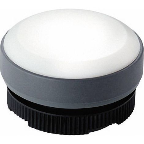 RAFI 22FS+ 1.74.508.001/2200 Spia retroilluminata piatto Bianco 1 pz. (1/2)