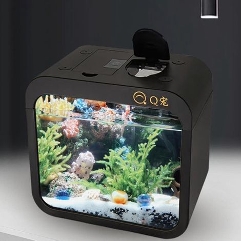 Energieeffizientes, stilvolles und wiederverwendbares muschelförmiges Aquarium mit Fütterungsfenster, Fischterrarium, Haushaltsartikel - (1/4)
