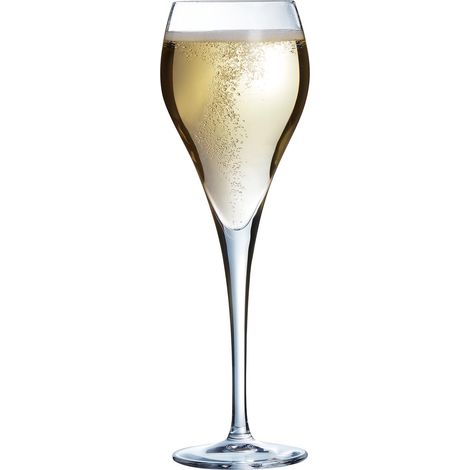 Flûte à Champagne Brio 16 cl Lot de 6 (1/4)